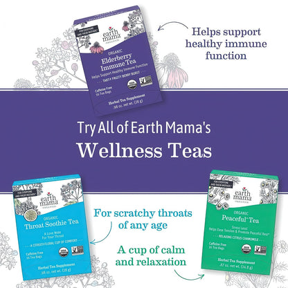 Earth Mama - Organic Red Raspberry Leaf Tea - 96 Teabags
