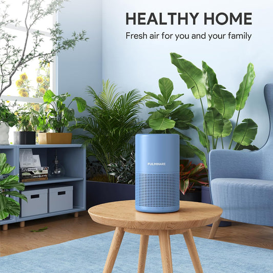 FULMINARE Air Purifiers for Home Bedroom H13 HEPA Air Purifier, 3 Speeds, Timer, 24dB, Small Mini Air Purifier with Night Light, Sage Green