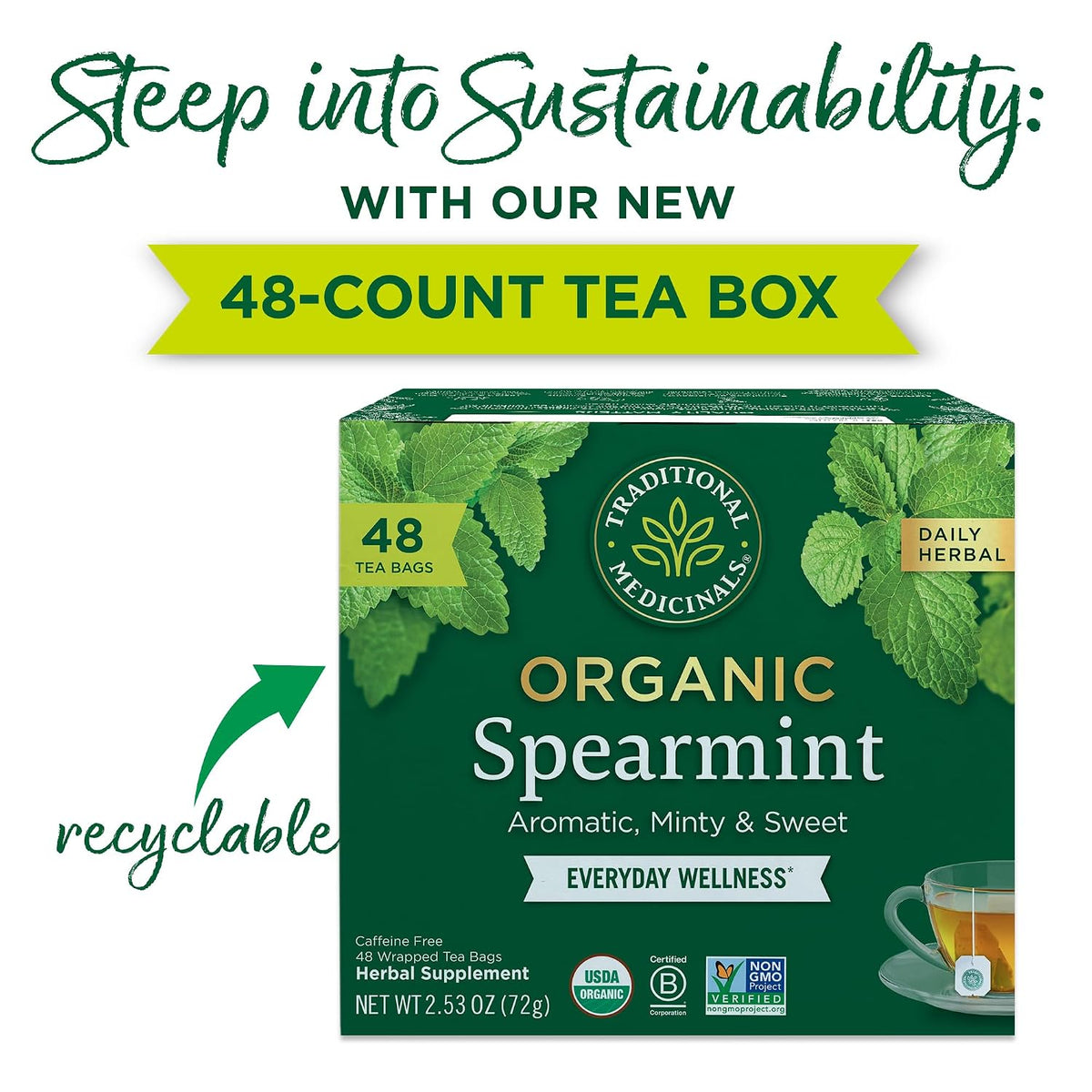 Traditional Medicinals Organic Spearmint, 48 Tea Bags