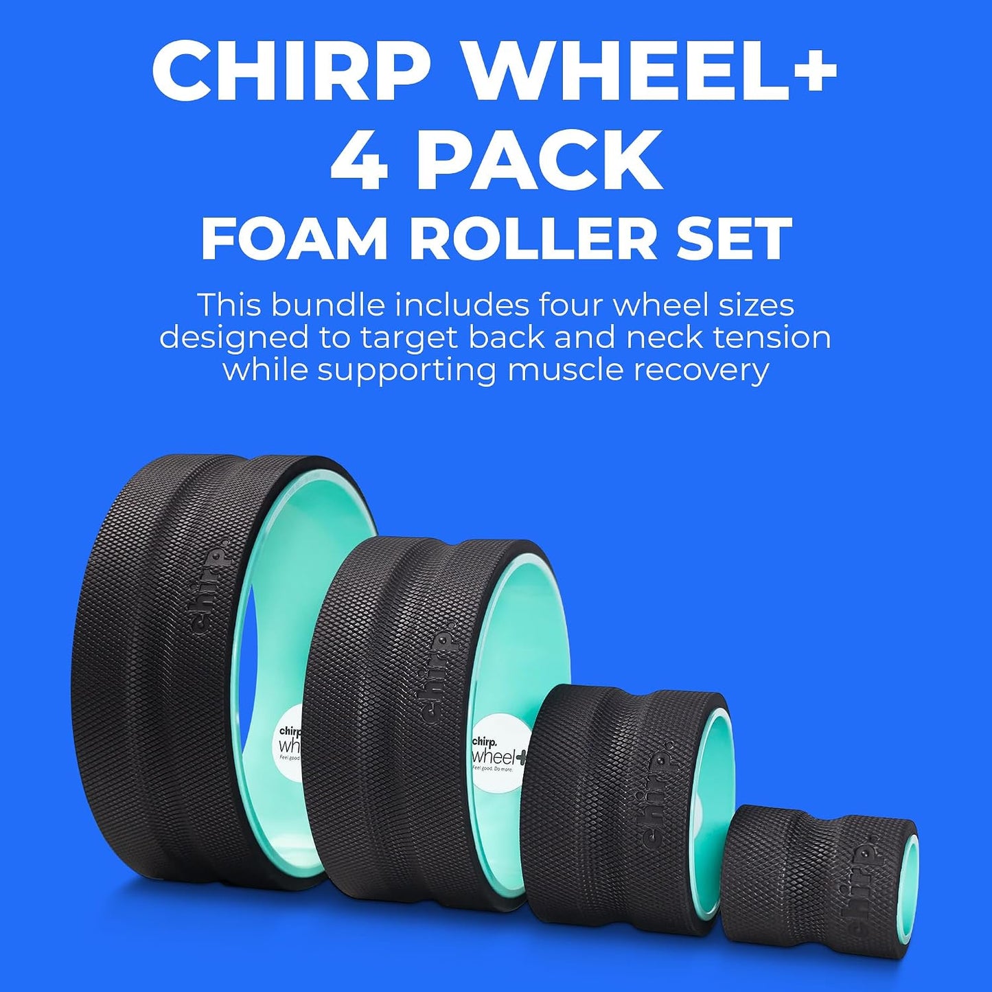 Chirp Wheel Foam Roller - Targeted Back & Neck Pain Relief, Muscle Massage, Trigger Point Therapy, High-Density Foam Tool for Physical Therapy, Stretching & Exercise, 500lbs Capacity, 12-Inch Mint