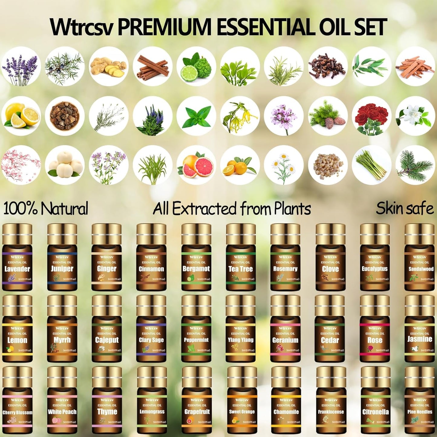 Essential Oils Set - Top 15 Scents for Diffuser, Humidifier, Skin Care, Aromatherapy, Massage, Candle & Soap Making - Fragrance Gift Set (5ml)