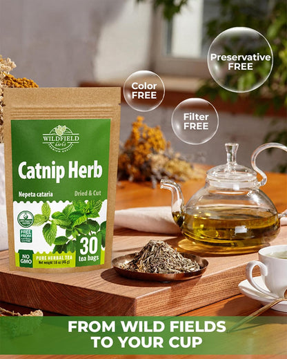 30 Bags Catnip Tea Catnip Herb Tea (Nepeta L.) - 30 Count 1.5g Bags Cat Nip Leaf Herb Hierba Gatera