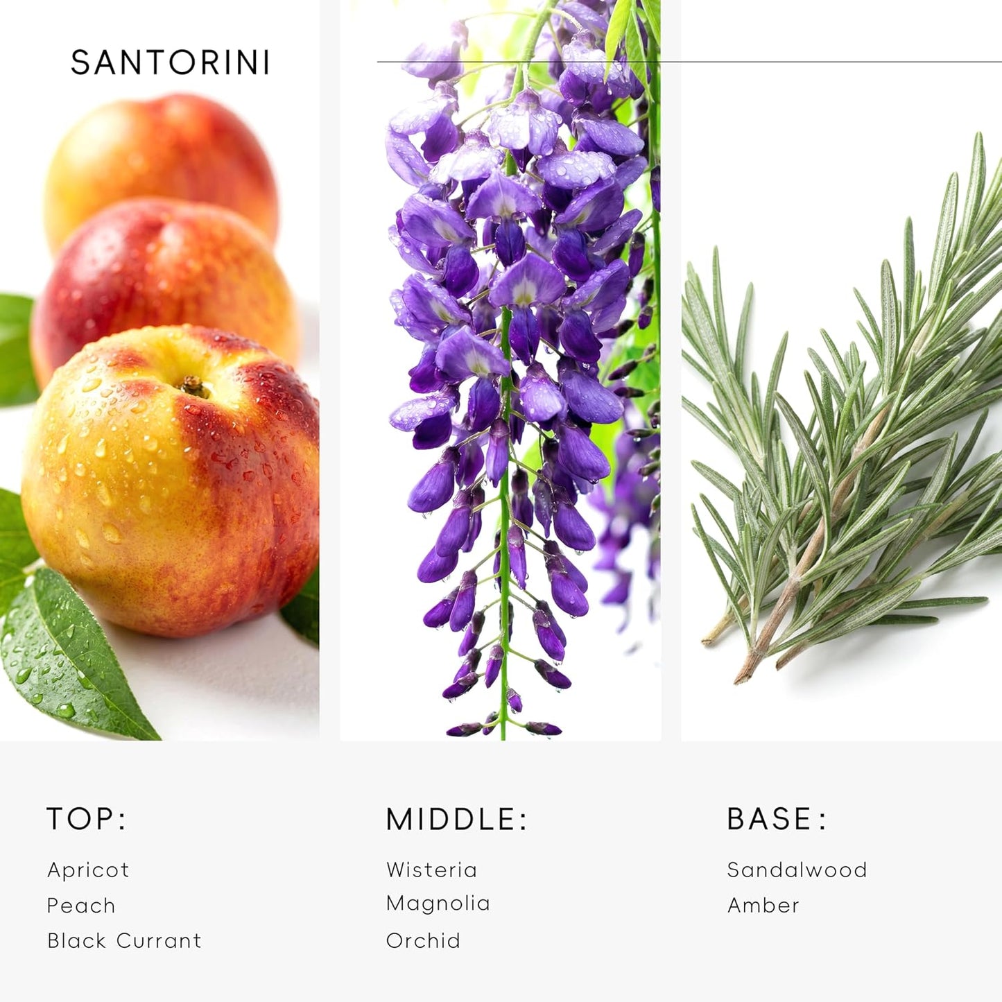 Hotel Diffuser Oil Inspired by Ritz-Carlton Scent - Premium Fragrance Oil No. SA61119323 for Ultrasonic and Waterless Diffuser - 120 mL, 4 fl oz