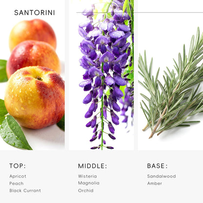 Hotel Diffuser Oil Inspired by Ritz-Carlton Scent - Premium Fragrance Oil No. SA61119323 for Ultrasonic and Waterless Diffuser - 120 mL, 4 fl oz