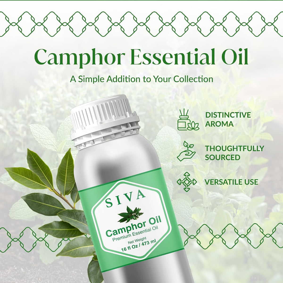 Siva Lavender Essential Oil, Huge Bottle, Large Size, 16 Fl Oz (473 ml)