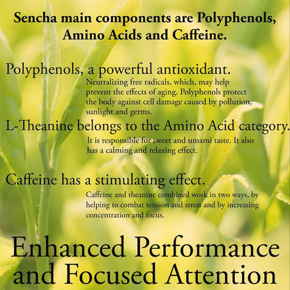 Organic Japanese Genmaicha | 100 Tea Bags | Organic Japanese Green Tea + Roasted Brown Rice | by Pantenger.