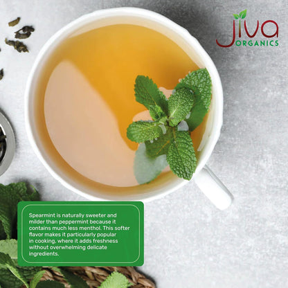 Jiva Organics Spearmint Leaf (Cut & Sifted) 1 Pound | Fresh Aroma, Premium Quality, Non-Irradiated Herbal Mint Leaves