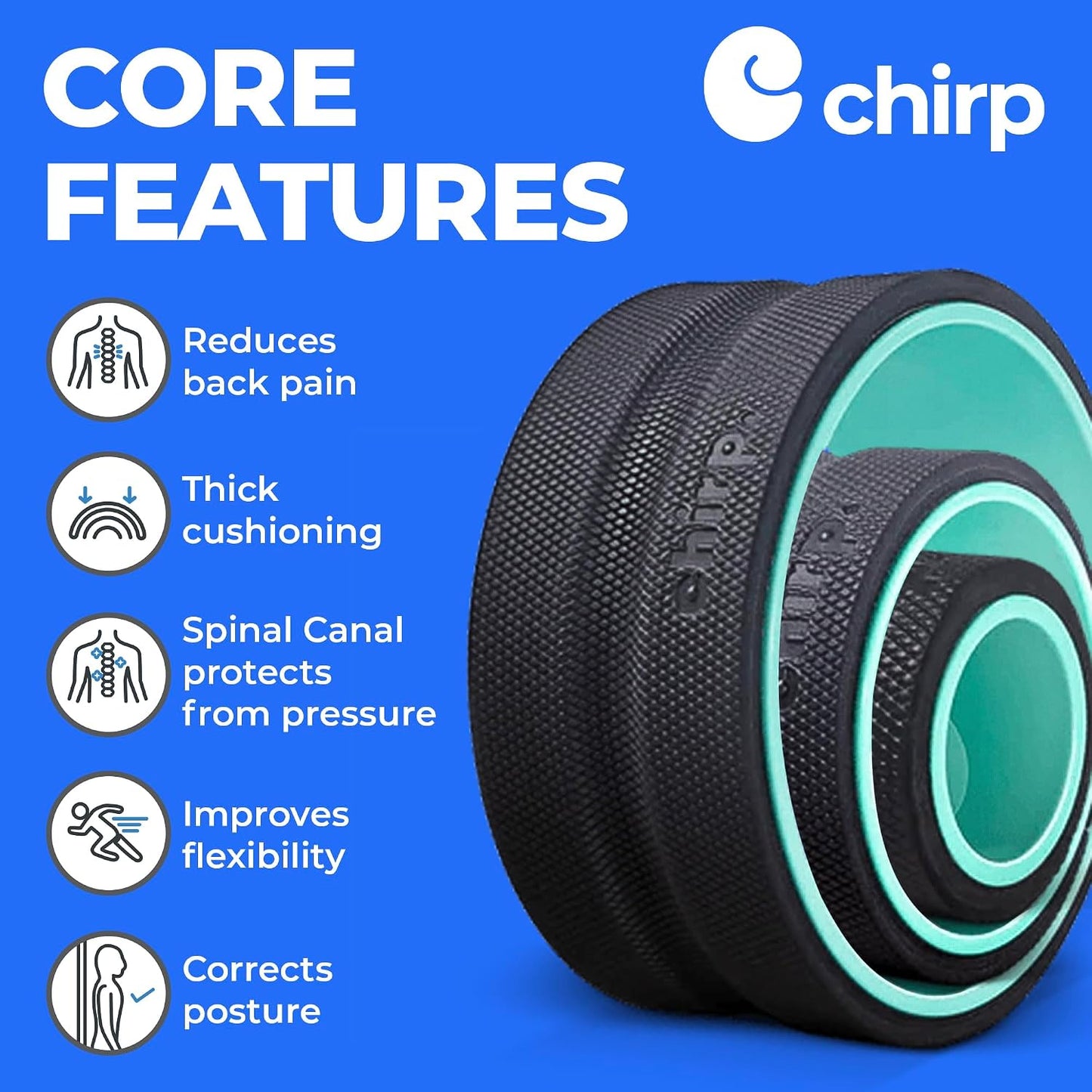 Chirp Wheel Foam Roller - Targeted Back & Neck Pain Relief, Muscle Massage, Trigger Point Therapy, High-Density Foam Tool for Physical Therapy, Stretching & Exercise, 500lbs Capacity, 12-Inch Mint