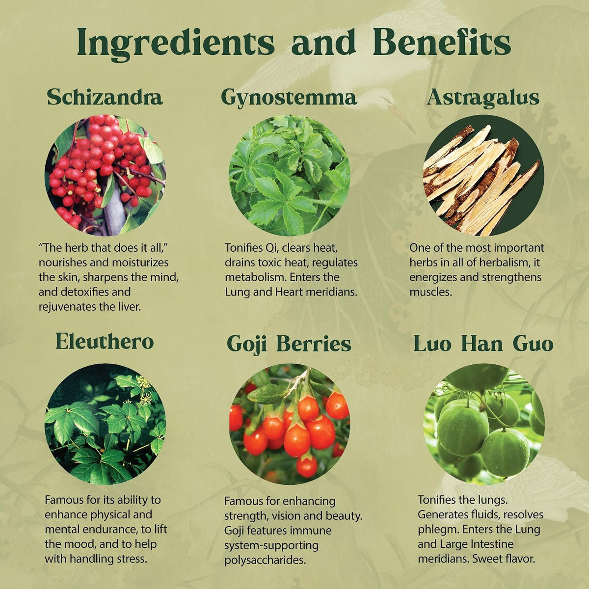 Dragon Herbs Spring Dragon Longevity Tea - Adaptogenic Gynostemma Leaf Herbal Tea Infused with Schizandra Berry, Goji Berry, Astragalus Root, Eleuthero Root, Luo Han Guo Fruit – Immune Support, Calming, Invigorating, Energy, Soothing, Digestion Support,