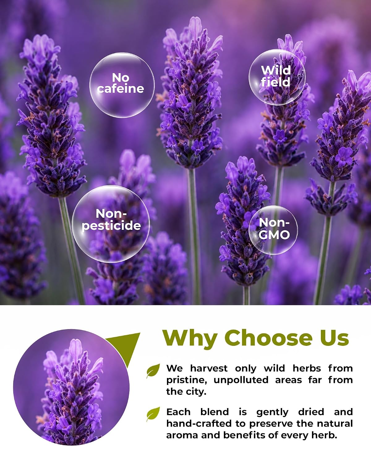 40 Bags Lavender Herb Lavender Buds Herbal Tea (Lavandula Angustifolia) - 40 Count 1.5g Bags Flowers Dried Tea Flores De Lavanda