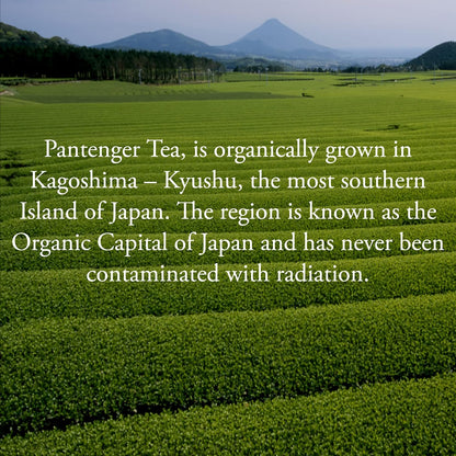 Organic Black Tea | 100 Tea Bags - Fine Japanese Breakfast Tea | Full Leaf Black Tea Organically grown in Japan, Caffeinated | By Pantenger.