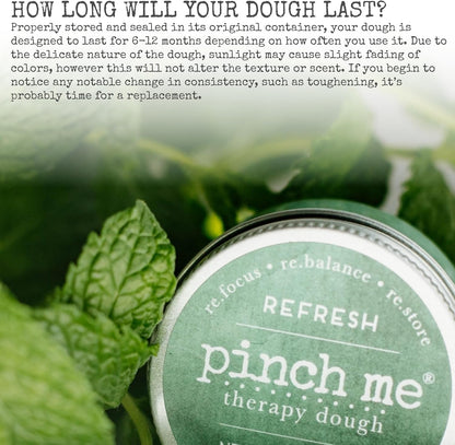 Pinch Me Therapy Dough - Holistic Aromatherapy Stress Relieving Putty - 10 Ounce Spa Scent
