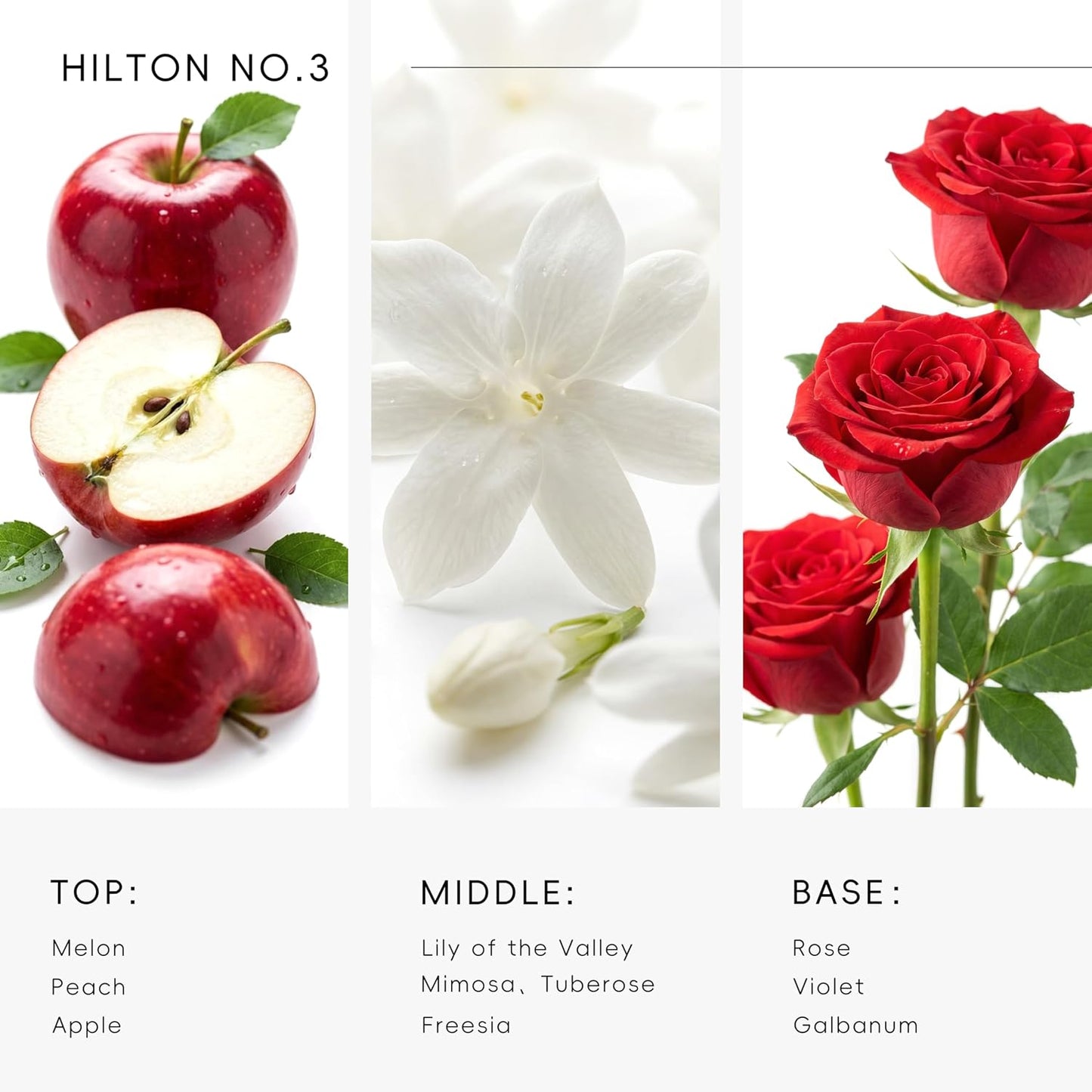 Hotel Diffuser Oil Inspired by Ritz-Carlton Scent - Premium Fragrance Oil No. SA61119323 for Ultrasonic and Waterless Diffuser - 120 mL, 4 fl oz