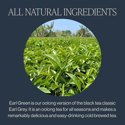 Rishi Tea Earl Green Japanese Organic Sachet Tea Bags, 30ct