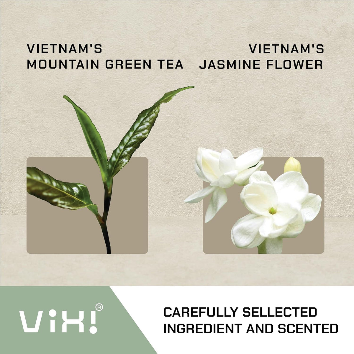 VIXI Jasmine Green Tea Bags, 150 Counts, Vietnam's Mountain Tea, Flavored, Aroma, Tagless, Sugar Free, 100% Natural from Ancient Tea Tree for Hot and Cold Brew