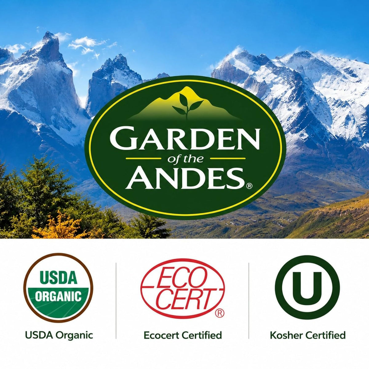 Garden of the Andes Kosher Organic Green Tea, 120 Bags
