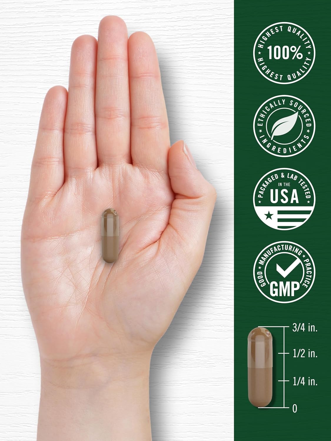 Carlyle Valerian Root Extract Supplement | 240 Capsules