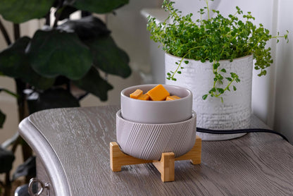 Candle Warmers ETC 2-in-1 Candle and Fragrance Warmer for Warming Scented Candles or Wax Melts and Tarts with to Freshen Room, Primitive Black and Bronze