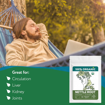 Organic Nettle Root Tea (40 Bleach-Free & Microplastic-Free TeaBags) - Men’s Health - Prostate, Hormones
