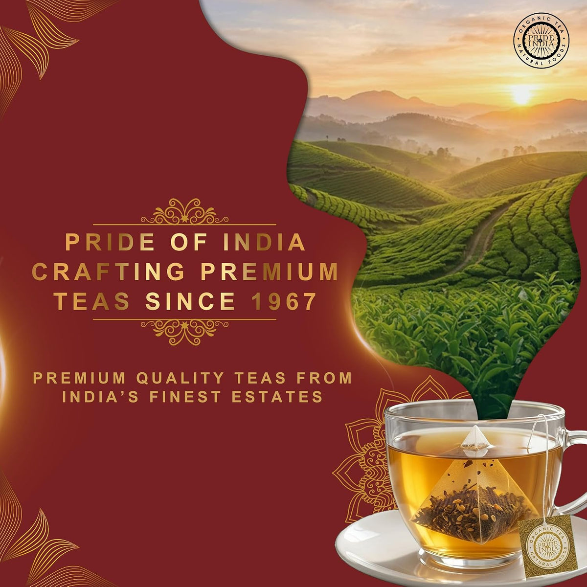 Pride of India Jasmine Rose Floral White Tea – 15 Pyramid Tea Bags | Individually Wrapped Full Leaf White Tea with Rose & Jasmine | Sweet Flavor Low Caffeine Tea for Smooth Calming Experience