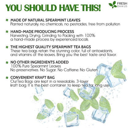 FreshDrinkUS, Premium 50 Spearmint Tea Bags, 100% Natural Spearmint Leaves. Loose Leaf Spearmint Herbal Tea. Spearmint Leaf Tea. No Sugar, No Caffeine, No Gluten, Vegan.