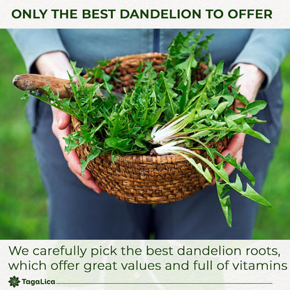 Tagalica, Premium 135 Dandelion Root Tea Bags, 100% Natural & Pure from Dandelion Root, Eco-Conscious Tea Bags, Herbal Tea. No Sugar, No Caffeine, No Gluten, Vegan