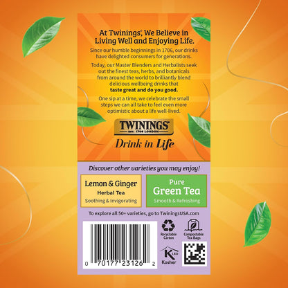 Twinings Wild Berries Herbal Tea Individually Wrapped Bags, 20 Count (Pack of 2), Full-Flavoured, Naturally Caffeine-Free, Enjoy Hot or Iced, 20 Teabags