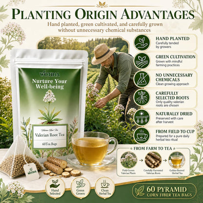 WOTIHA 60 Count Valerian Root Tea Bags - Pure Valeriana Herb for Bedtime Calm - Plant-Based Corn Fiber Pyramid Bags with String - Natural Earthy Flavor, Caffeine Free Herbal Tea