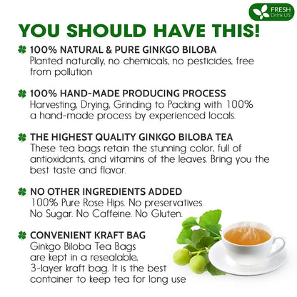 FreshDrinkUS, Premium Ginkgo Biloba Leaf Tea, 75 Count, Pure, No Caffeine