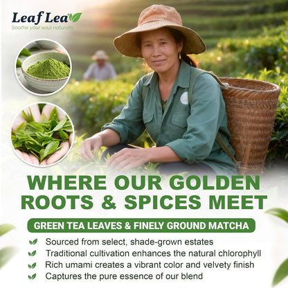 LeafLea Matcha Green Tea Bags, 80 Individually Wrapped, Stock-Up 2-Pack
