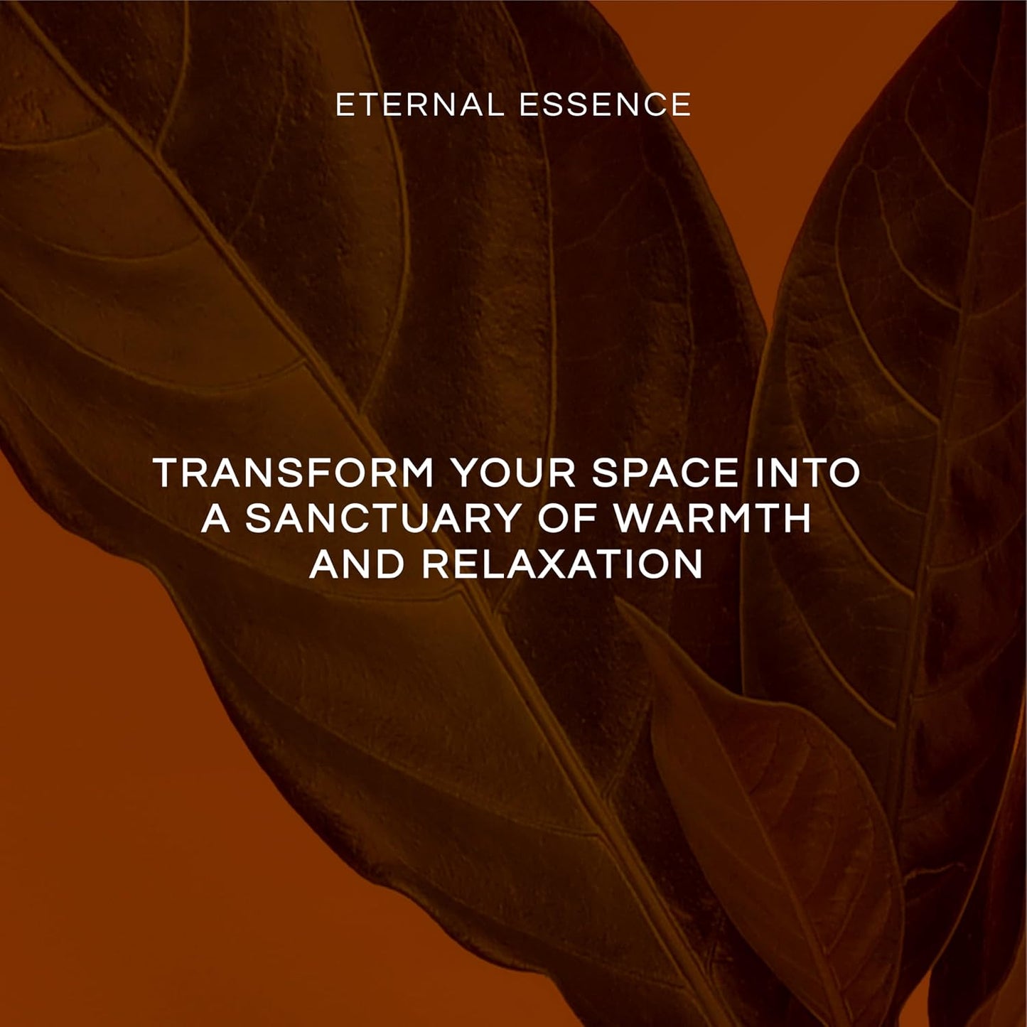 Eternal Essence Oils Beach Set of 6 Premium Fragrance Oils - Includes White Sand, Ocean Breeze, Honolulu Sun, Mermaid, Caribbean Escape, and Sun & Sand Scented Oils - 10ML