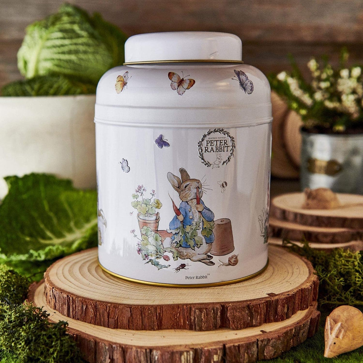 New English Teas Beatrix Potter Peter Rabbit Tea Caddy with 240 English Breakfast Teabags