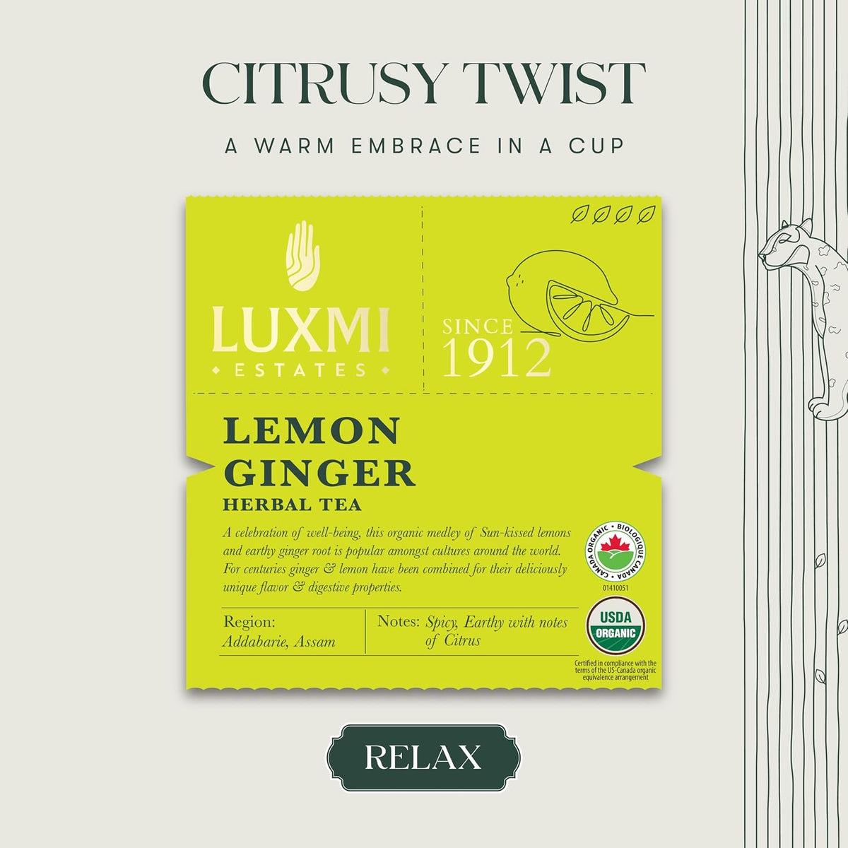 Luxmi Estates Lemon Ginger Tea, Organic Loose Leaf, 50g (1.76oz, 25 Cups), USDA Organic Herbal Infusion with Lemon Peel, Ginger Root, Lemongrass & Cinnamon - Caffeine-Free, Naturally Sweet, Resealable Tin