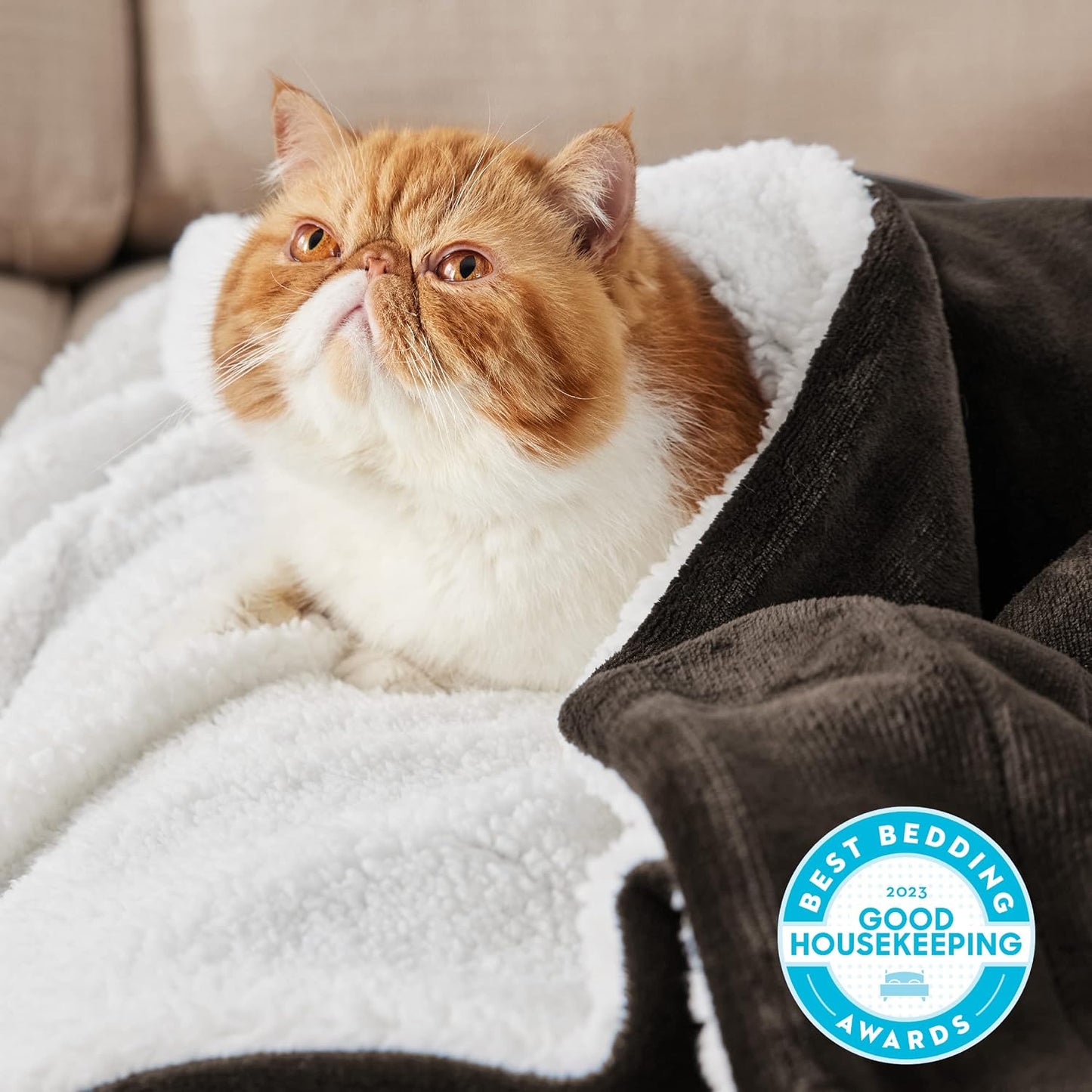Bedsure GentleSoft Sherpa Fleece Throw Blanket for Couch, Non-Heated, Thick & Warm Cozy Blanket for Winter, Soft Fuzzy Plush Throw Gifts for Women and Men, Grey, 50x60 Inches