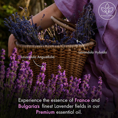 Majestic Pure Lavender Essential Oil for Diffuser - 4 Fl Oz
