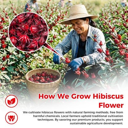 50 Bags Premium Natural Hibiscus Tea, 100% Pure Organic Hibiscus Flowers Herbal Tea, Caffeine-Free, Rich in Natural Goodness and Flavor, No Sugar, Gluten-Free, Vegan