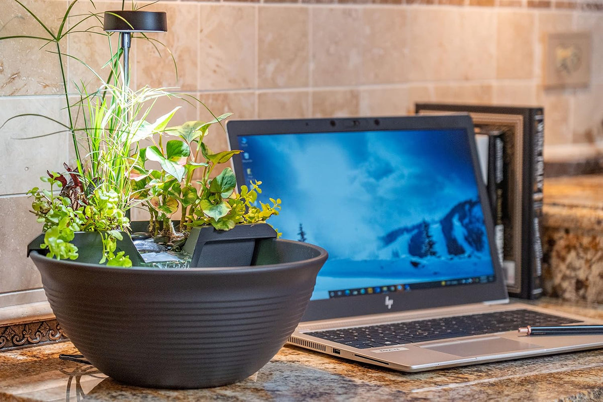 Aquascape AquaGarden Tabletop Fountain Kit (Mocha)