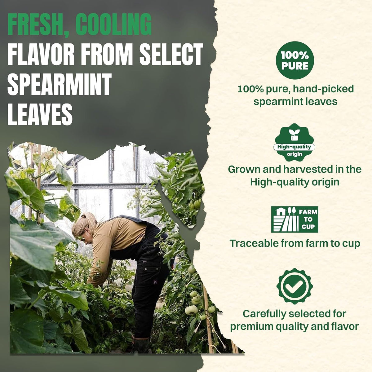 Spearmint Tea Bags 100 Count – Caffeine-Free Smooth Mint Tea, After Meals