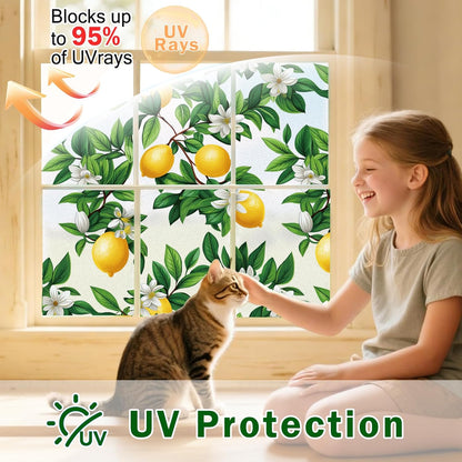 Window Film, Frosted Privacy, One Way Tint, UV Block, Heat Insulation, Anti-Glare, Static Cling, Renter Friendly for Home Bathroom Door