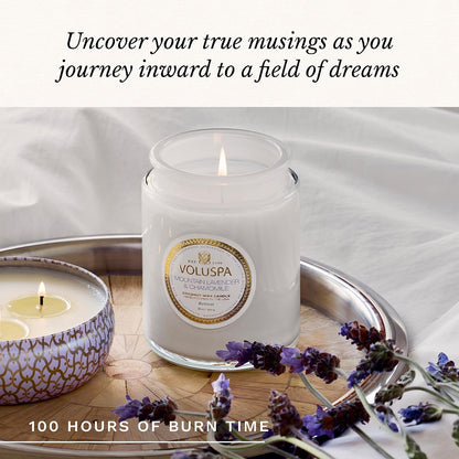 Voluspa Baltic Amber Candle, 18 oz, Coconut Wax Blend, Scented Candles for Home, 100 Hour Burn Time, Candle Jar