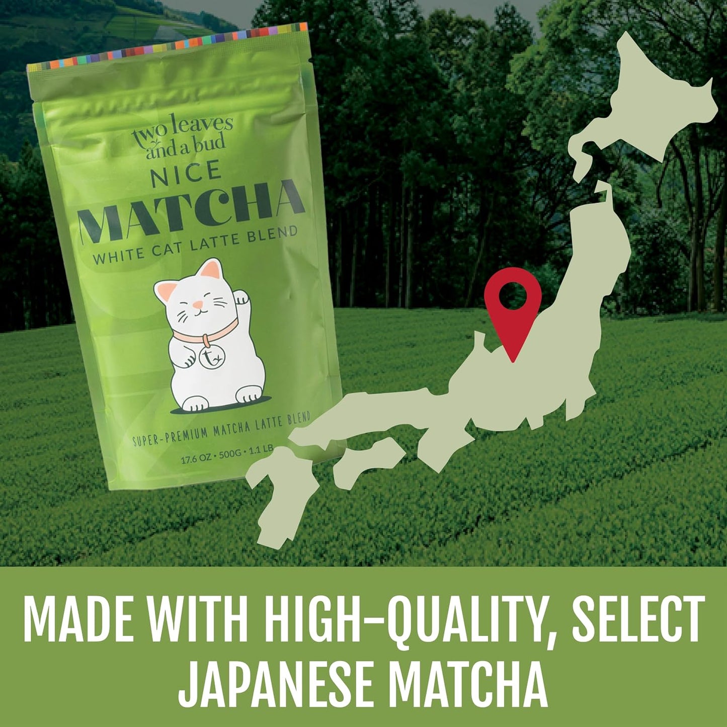 Two Leaves and a Bud Nice Matcha Latte Blend, Japanese Matcha Green Tea Powder, 2 Resealable Bags, 224g