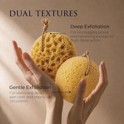 Spongentle Loofah Sponge for Shower and Bathing, Bath Sponge with Dual Texture, Shower Pouf for Gentle and Deep Exfoliation, Large Size Body Scrubber for Men & Women, PU Foam, 37% More Lather, 3 Pack