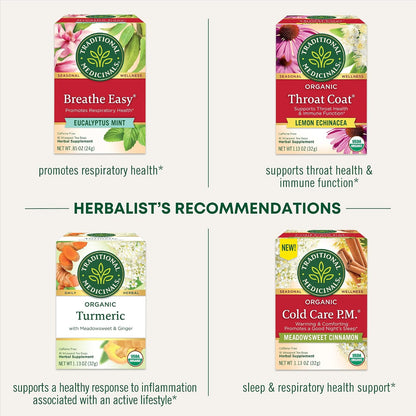 Traditional Medicinals Organic Echinacea Plus Elderberry, 16 Tea Bags