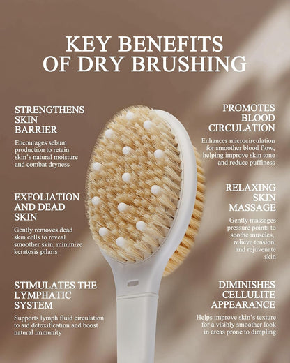 Dry Brushing Body Brush for Massage - Natural Boar Bristle Exfoliating Brush with Massage Nodes for Lymphatic Drainage, Cellulite, Blood Circulation Improving Skin Health for Women Men Elderly(Grey)