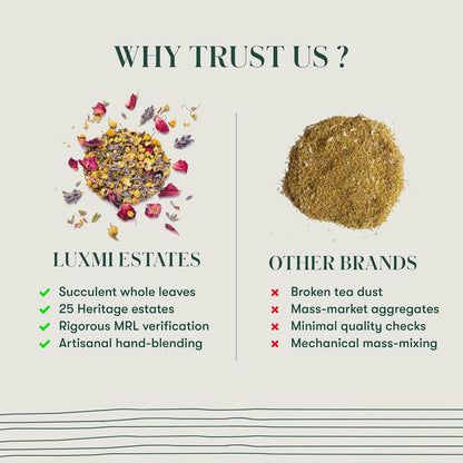 Luxmi Estates - Valerian Dream - Organic Valerian Root Tea for Sleep (50 Tea Bags, Valerian Root)