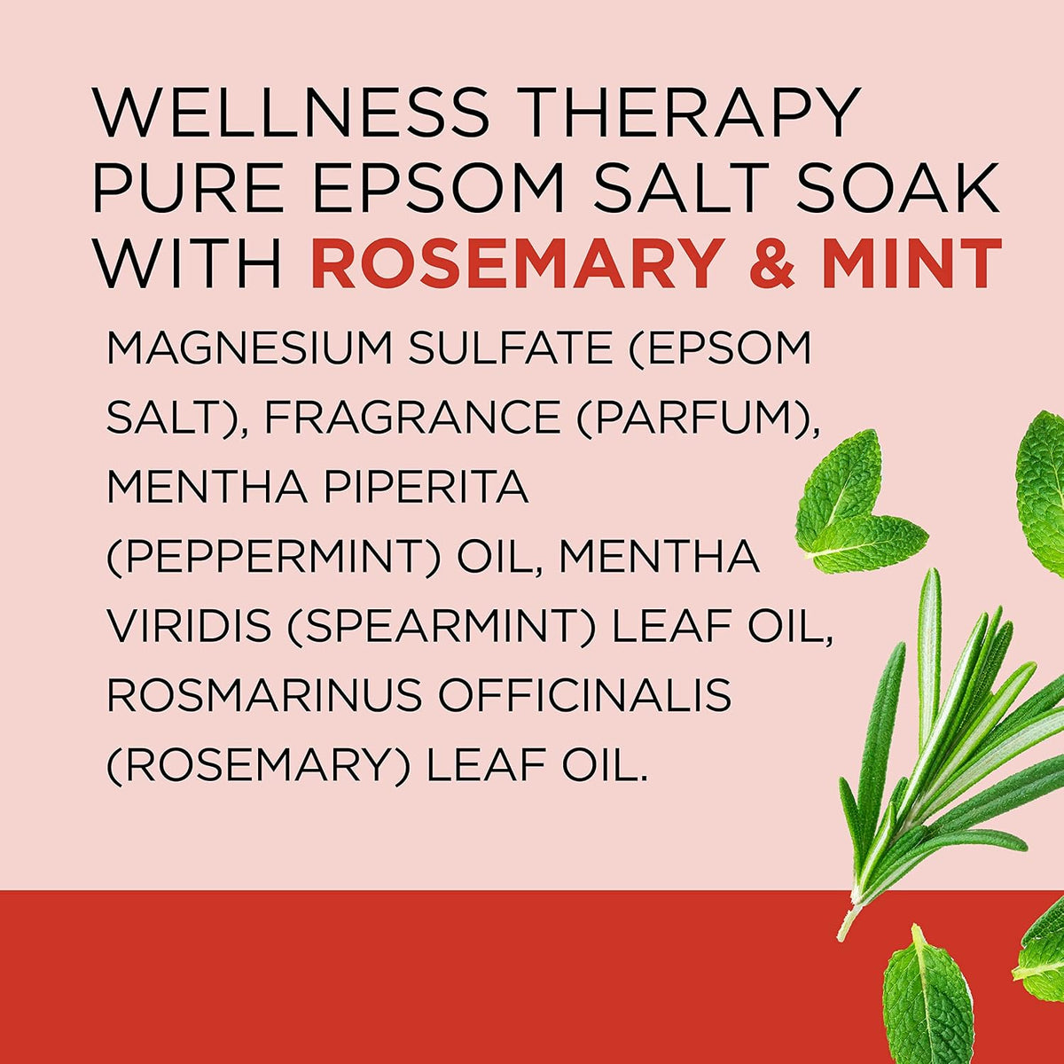 Dr Teal's Epsom Salt Magnesium Soak, Wellness Therapy with Rosemary & Mint, 3 lbs