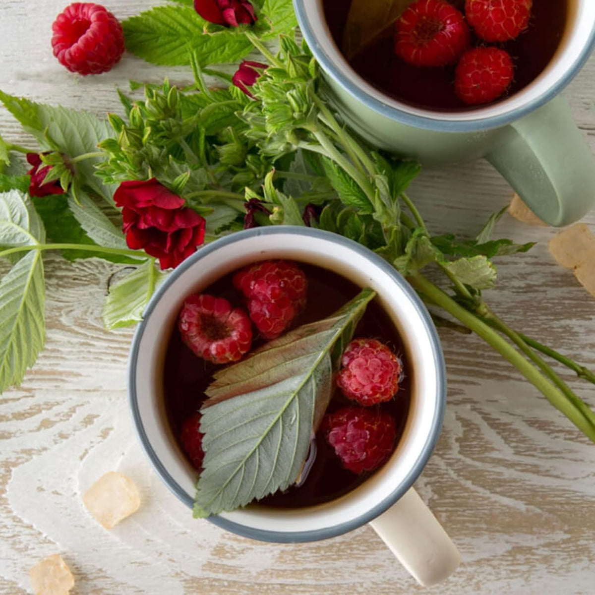 Jovvily Raspberry Leaf - 4 oz - Cut & Sifted - Herbal Tea