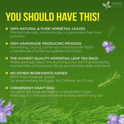 FreshDrinkUS, Premium 75 Horsetail Leaf Tea Bags, 100% Natural & Pure from Horsetail Loose Leaves Herbal Tea. Made with Natural Material Tea Bags. No Sugar, No Caffeine, No Gluten, Vegan.