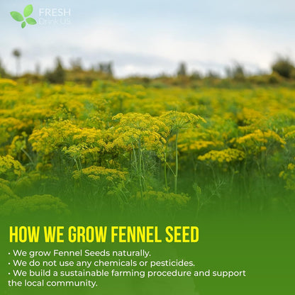 FreshDrinkUS, Premium 55 Fennel Tea Bags, 100% Natural & Pure. Made with Eco-Conscious Tea Bags. No Sugar, No Caffeine, No Gluten, Vegan.