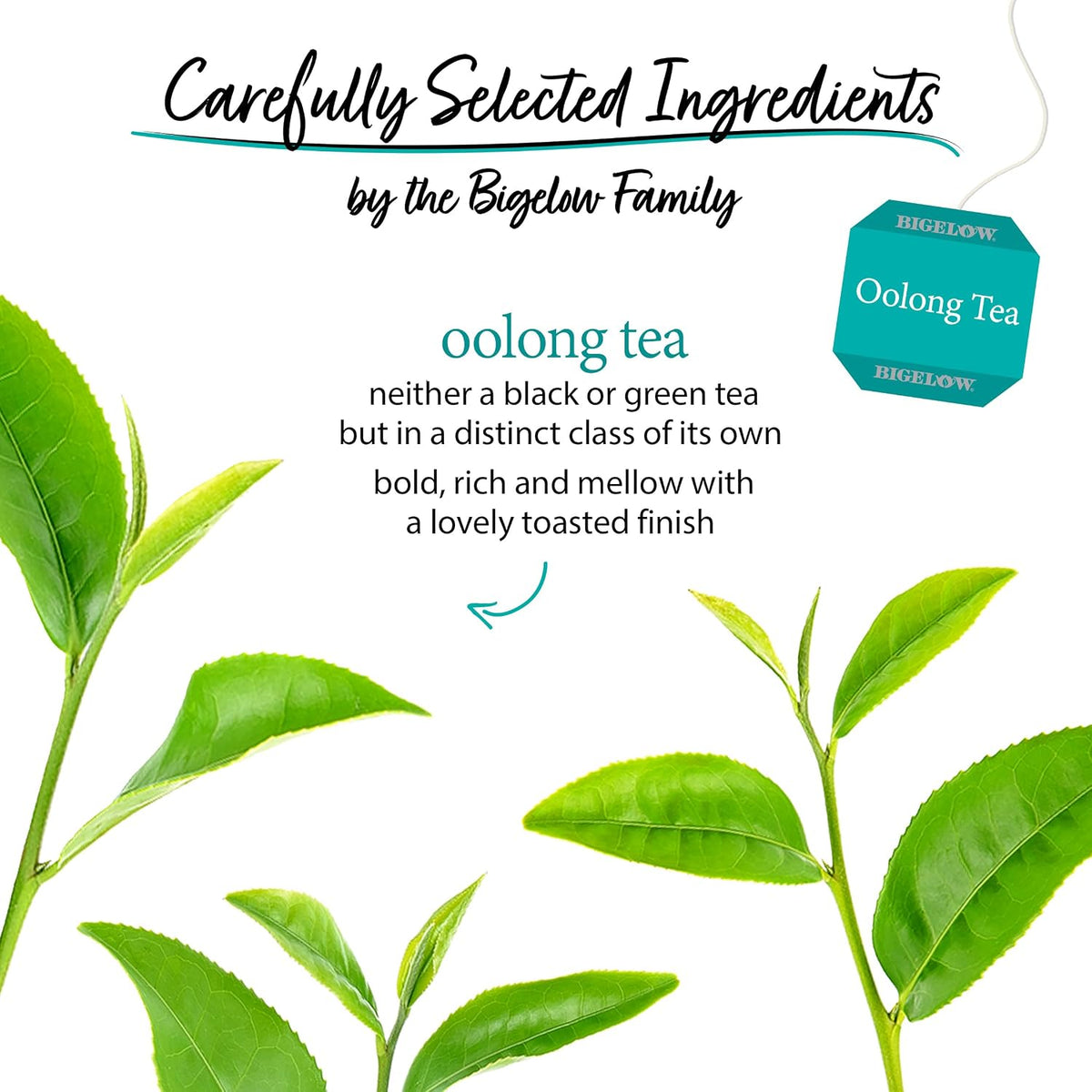 Bigelow, Oolong and Caffeinated Tea with Fresh, Smooth Taste, 240 Total Tea Bags,20 Count Box (Pack of 12)
